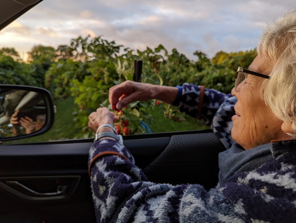 Harvest at Barrie Hill&nbsp;Farms