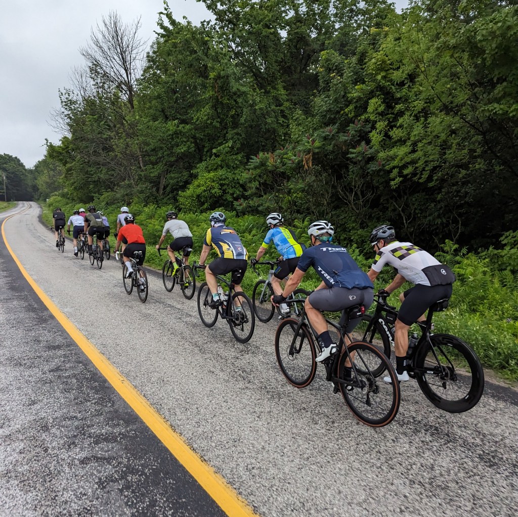 Hairshirt North 2023