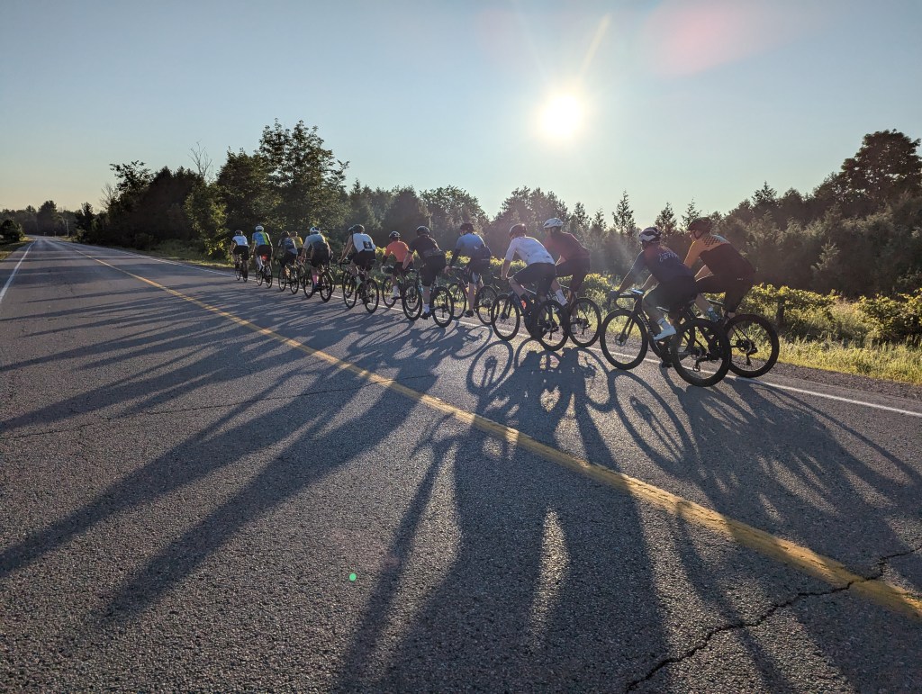 Hairshirt North :: 2024