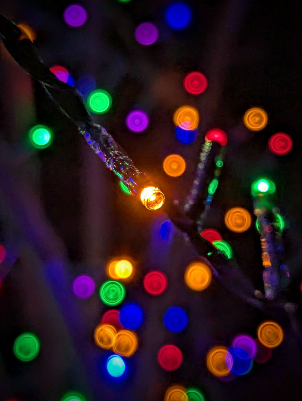 darkness has its appeal,&nbsp;too