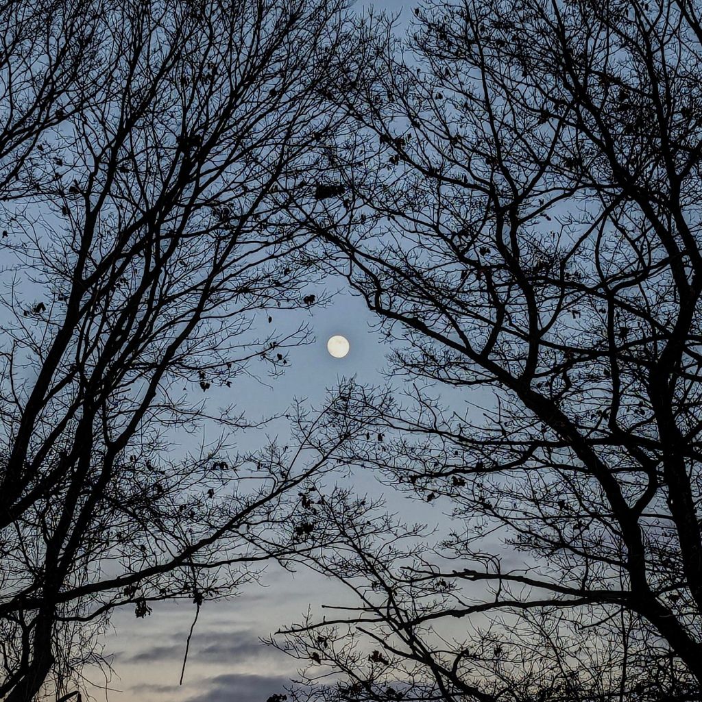 this month’s views