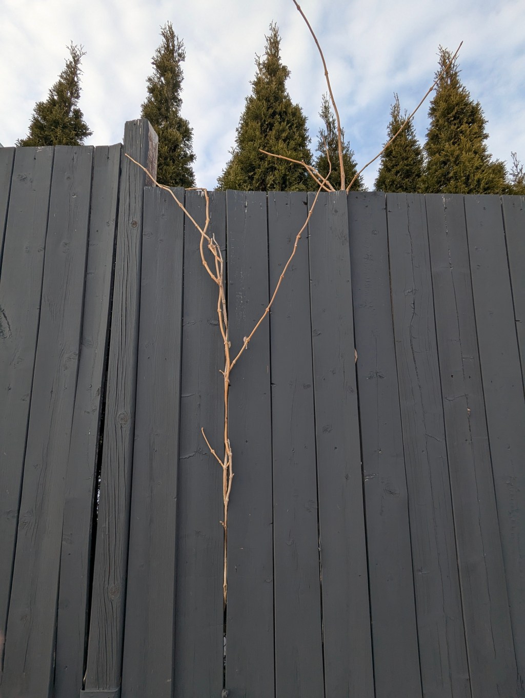 Nature. Always. Wins.